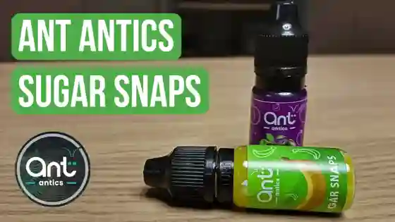 Ant Antics Sugar Snaps Review