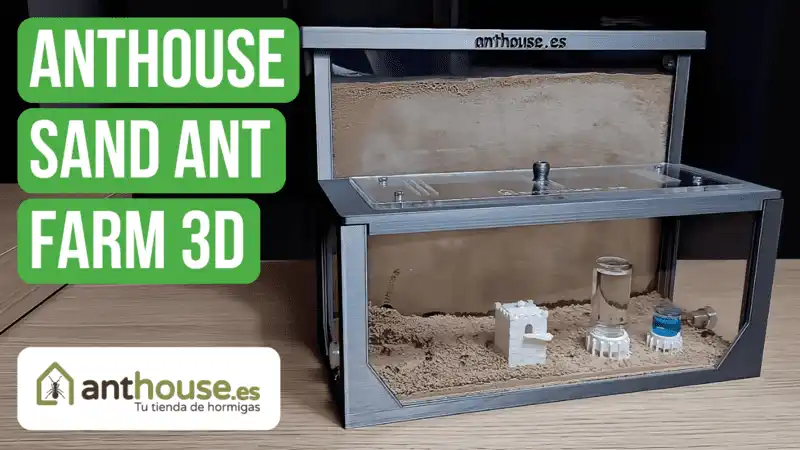 Anthouse Sand Ant Farm 3D L Review