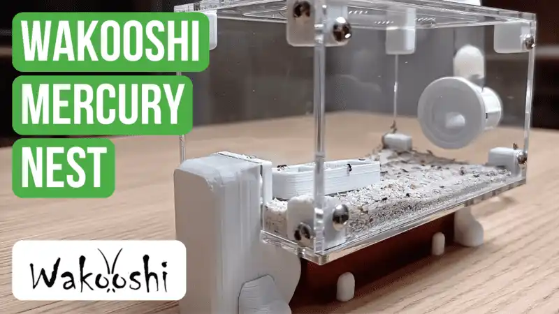 WaKooshi Mercury Nest Review