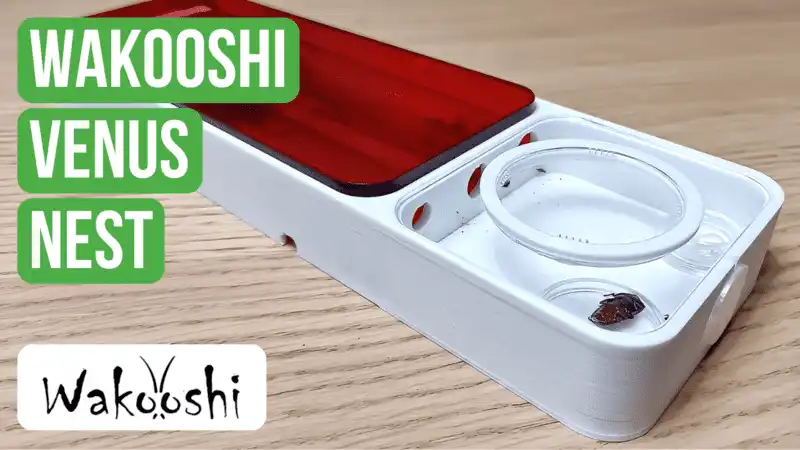 WaKooshi Venus Nest Review