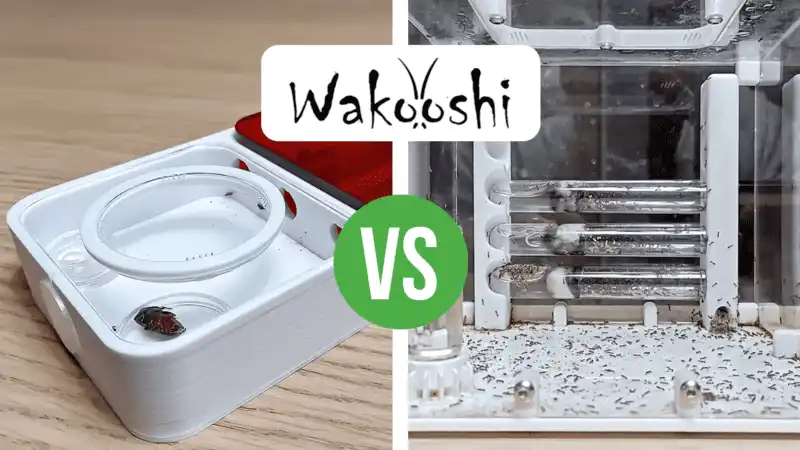 Nest Comparison: WaKooshi Venus Nest vs Saturn Nest