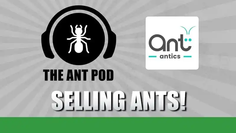 Selling Ants! - The Ant Pod