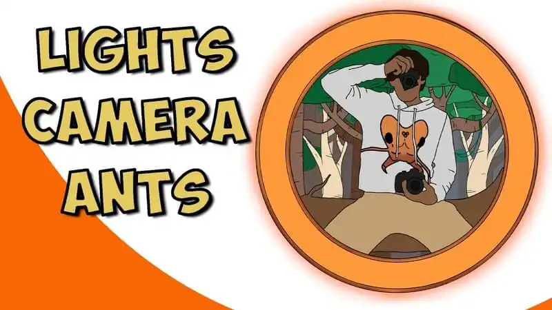 The Lights Camera Ants Interview - The Ant Pod