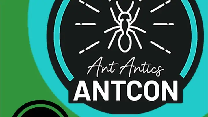 Antcon 2024 Review! - The Ant Pod