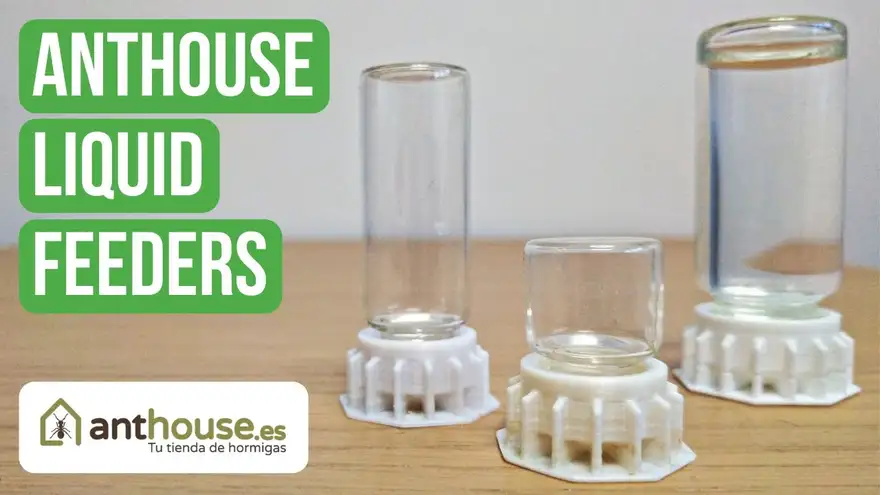Anthouse Liquid Feeders Review