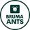 BRUMA Ants logo