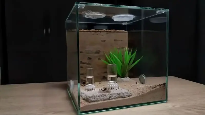 ANTCUBE Arena Combi