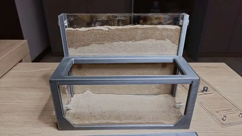 The Anthouse sand nest after the watering phase