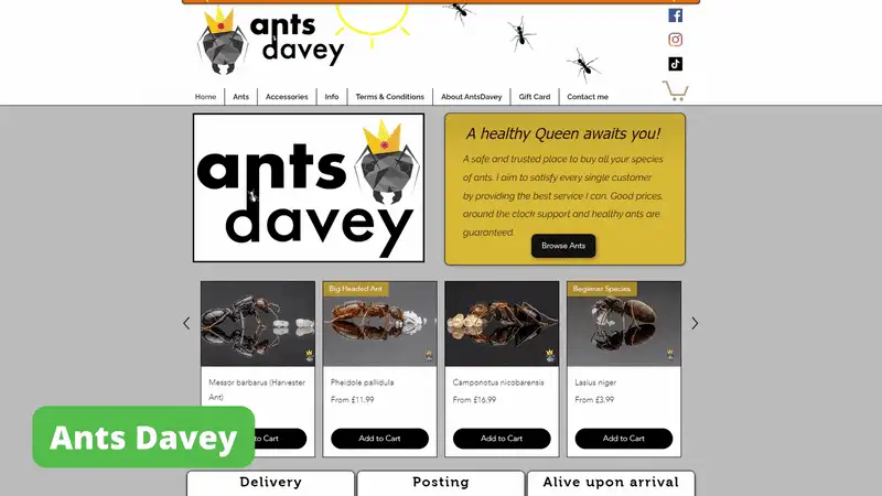 Ants Davey home page