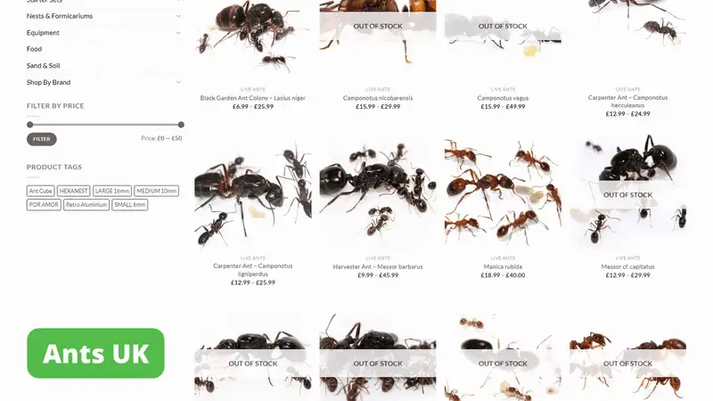 Ants UK home page