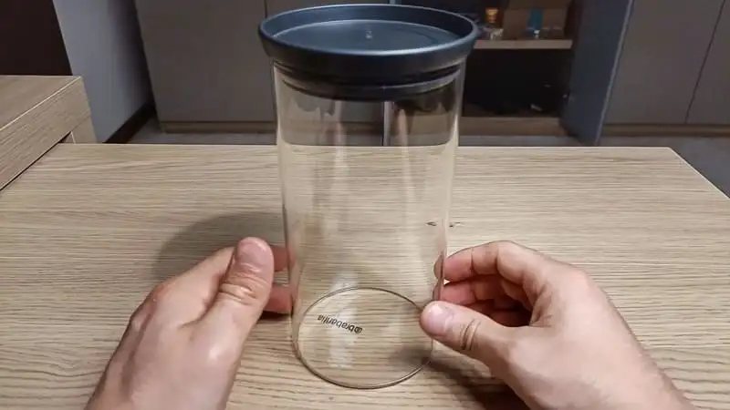 The jar for the jar terrarium
