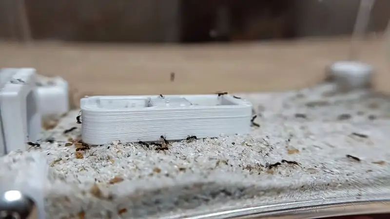 WaKooshi mercury nest feeding dish
