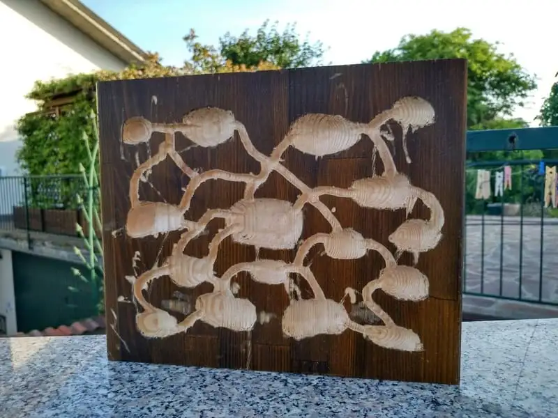 A DIY wooden ant nest after engraving