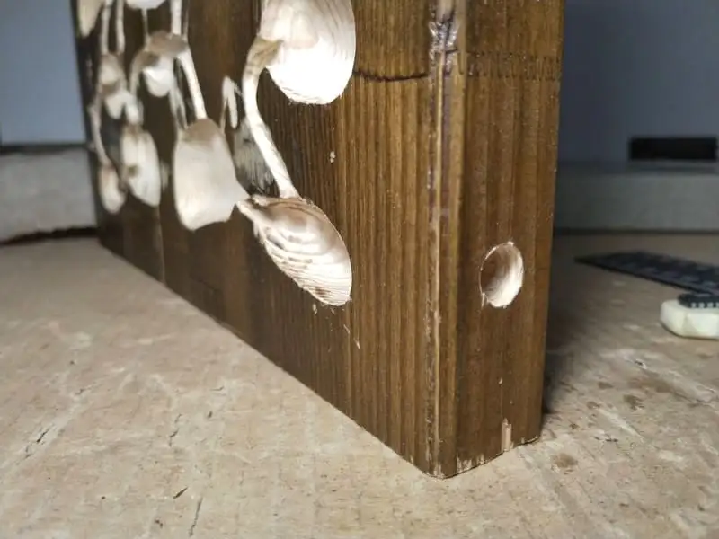The entrance hole of a DIY wooden ant nest