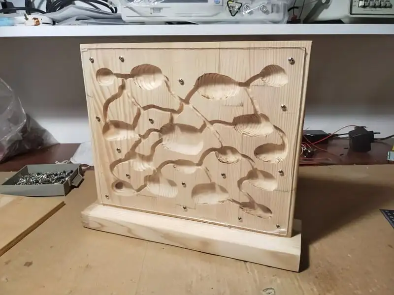 A DIY wooden ant nest