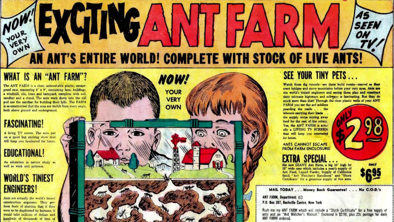 Vintage ant farm ad