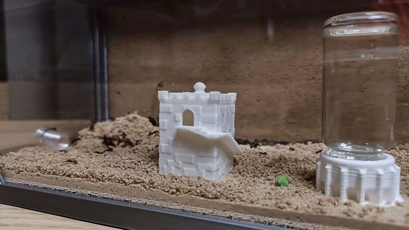 A seed feeder inside the Anthouse sand nest