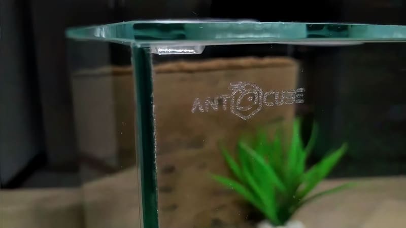 Antstore antcube arena combi logo