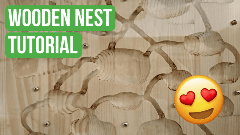 BRUMA Ants article thumbnail - Wooden nest tutorial
