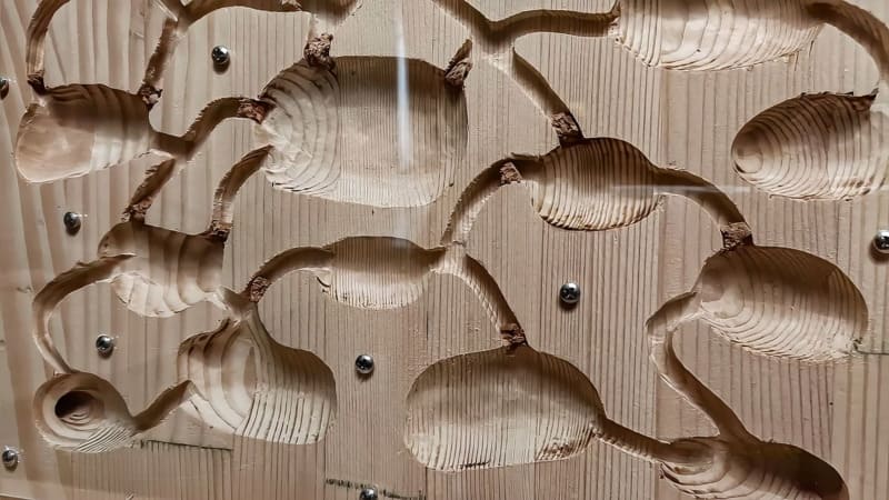 DIY wooden ant nest