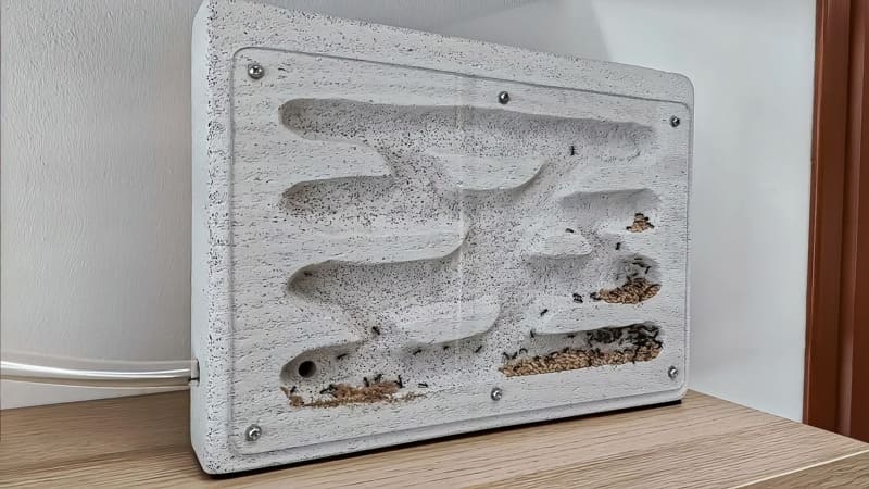 DIY ytong ant nest