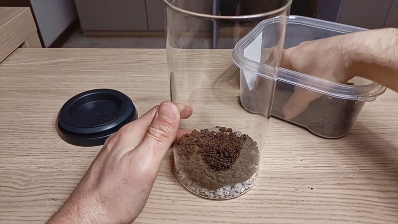 The dirt layer of the jar terrarium