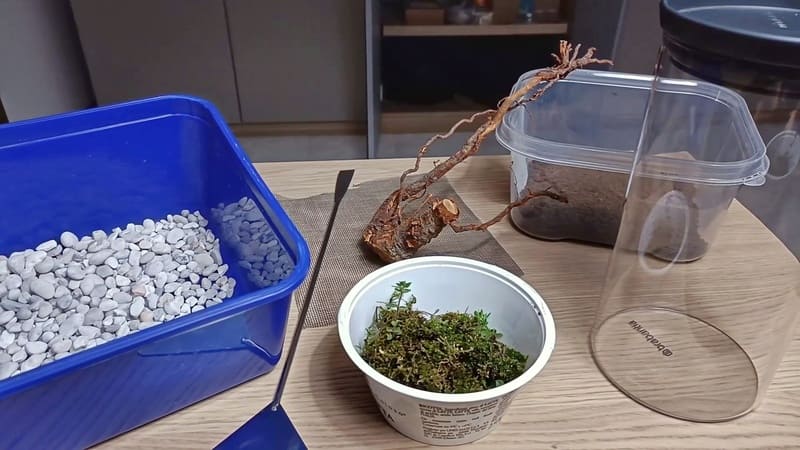 Materials needed for the jar terrarium