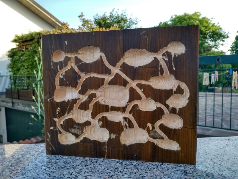 A diy wooden ant nest after engraving