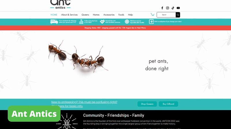 Ant Antics home page