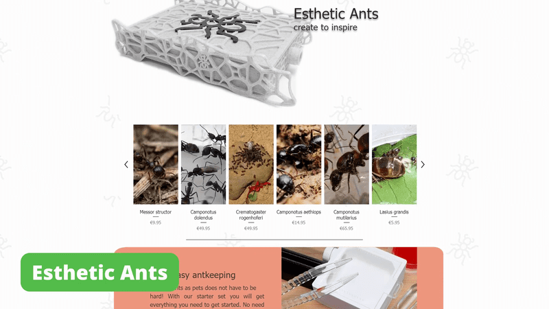 Esthetic Ants home page