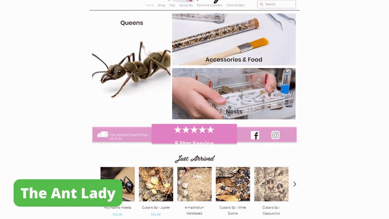 The Ant Lady home page