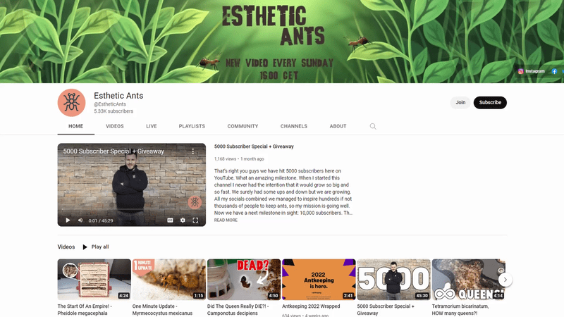 Esthetic Ants youtube channel