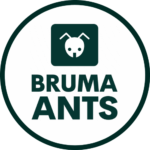 Mauro of BRUMA Ants